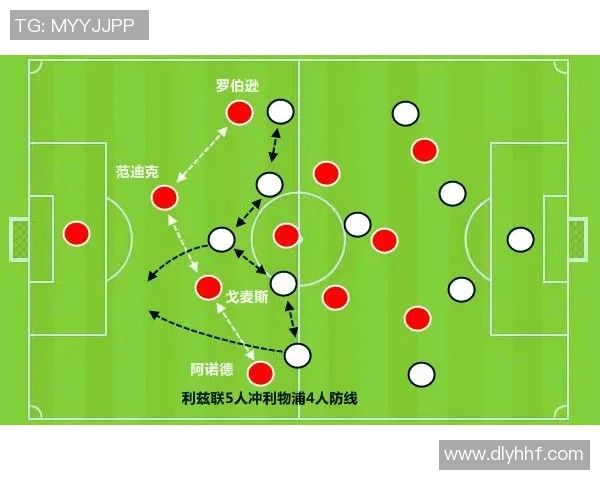 上海篮球队比赛经验深度解析与战术探讨