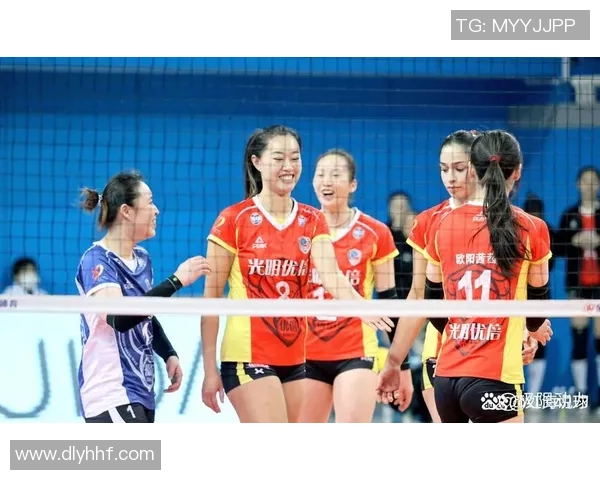 上海排球队的节奏解析与深度剖析排球运动的魅力与挑战